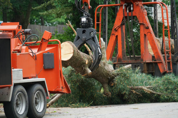 New Hope, AL Tree Service Company